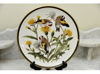 Audubon Society Songbirds Porcelain Plate
