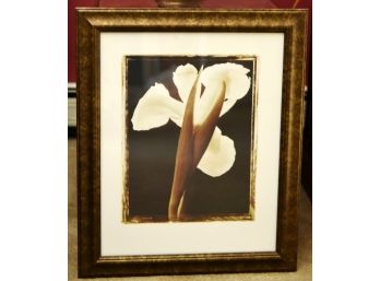 White Iris Picture With Brown Frame 19.5'x24'