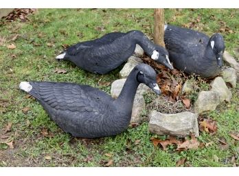 3 Rubber Geese Decoy Lawn Ornaments
