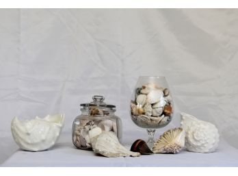 Assortment Of Shells And Shell Dishes