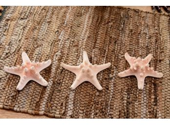 Trio Of Florida Coast Star Fish