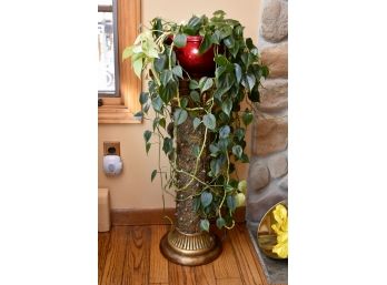 Pedestal Stand With Real Pothos Plant