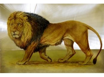 Lion By William Finch 23 X 20