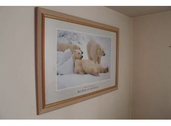 Large Framed 'Bad Boys Of The Arctic' Photo By Thomas Mangelsen