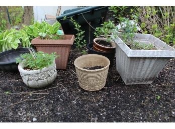 Grouping Of Flower Pots