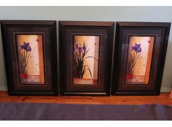 Set Of 3 Framed Flower Photos