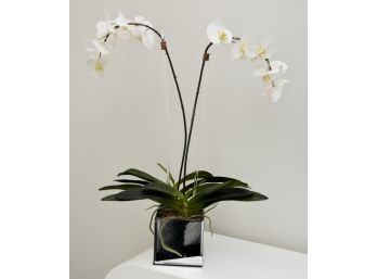 Lovely Faux Orchid Mirrored Base Table Plant