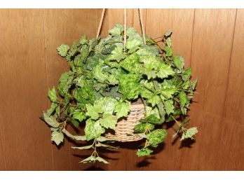 Hanging Plant In Wicker And Rope Basket