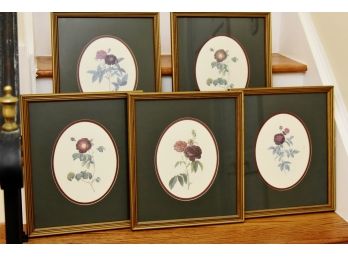 Assortment Of 5 Flower Pictures 13x16