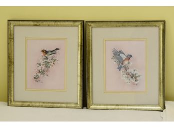 Pair Of Lovely Matted And Framed Bird Prints 15 1/2 X 13 1/2