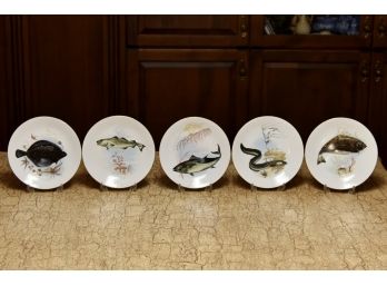 5 Fish Plates