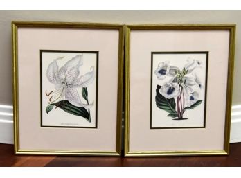 Pair Of 12 X 15 Floral Framed Prints