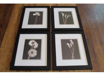 Four Framed Flower Photos