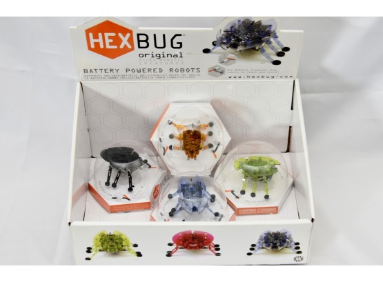 Hex Bug Lot Of 4 In Display Box