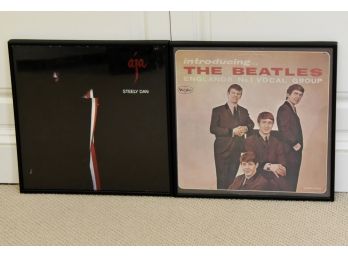 Framed Beatles And Steely Dan Albums