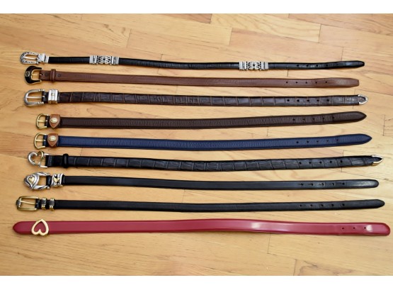 Womans Belt Collection