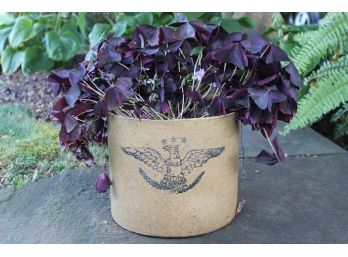 Eagle Flower Pot With Purple Flowers