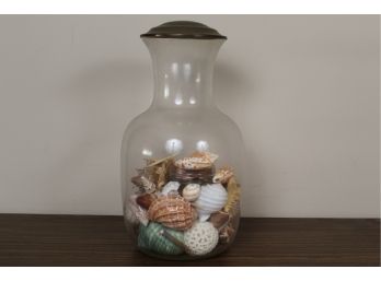 Collection Of Sea Shells In A Bottle