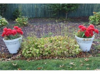 Pair Of Flower Pots With Artificial Red Flowers
