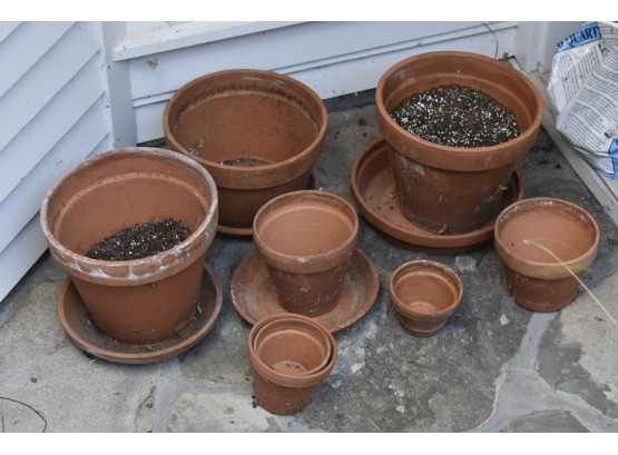 Collection Of Terra Cotta Pots