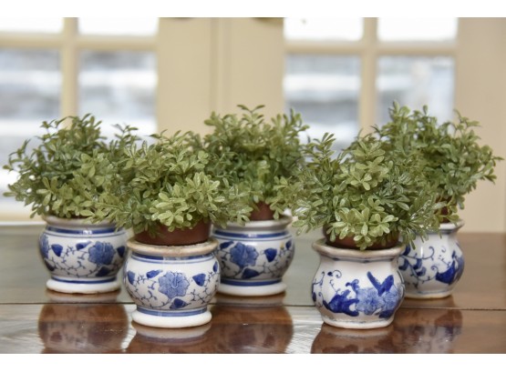 Collection Of Faux Mini Boxwoods