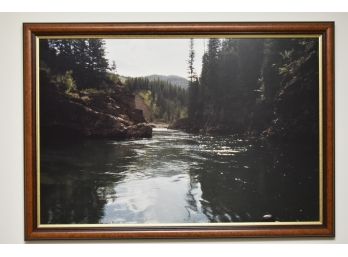 Amazing Framed Photo Of Pacific Northwest 33 X 23