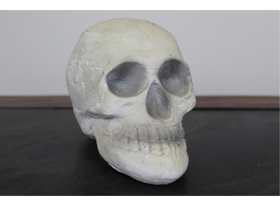 Decorative Halloween Skull