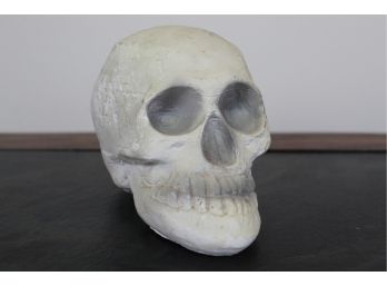 Decorative Halloween Skull