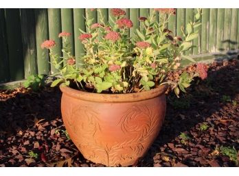 Three Large Brown Flower Pots