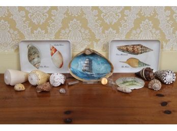 Assortment Of Shells Including Hand Painted Ship & More