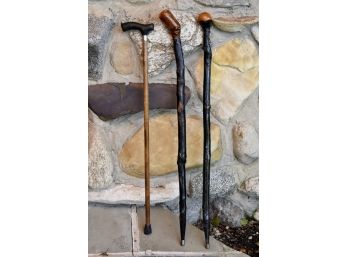 Walking Stick Collection