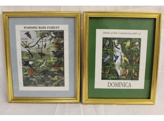 Pair Of Framed Rainforest Birds Postage Stamps 9 X 11'