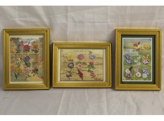 Set Of 3 Framed Flowers Postage Stamps 2 - 6 X 8'