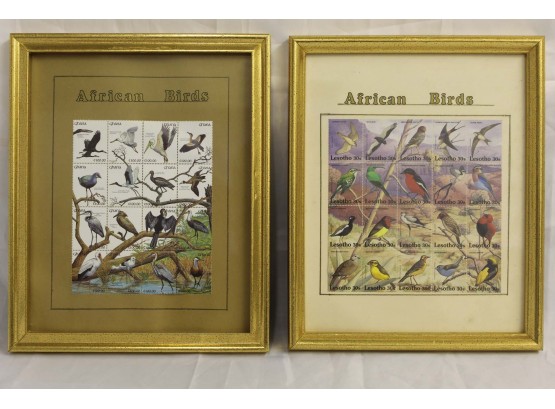 Pair Of Framed African Birds Postage Stamps 9 X 11'