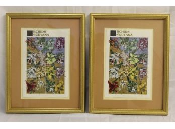 Pair Of Framed Orchids Of Guyana Postage Stamps 9 X 11'