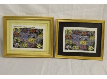 Pair Of Framed Flowering Trees Of Guyana Postage Stamps 9 X 11'