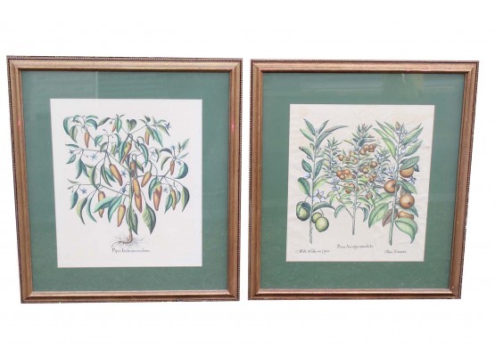 Pair Of Antique Floral Framed Prints 27 X 30