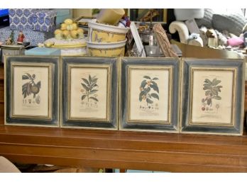 Antique Set Of Four Botanica Framed Pictures 11 X 13