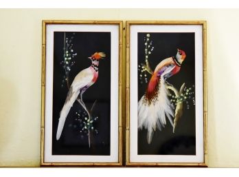 Vintage Pair Of Feather Art Framed Bird Pictures 17 X 10