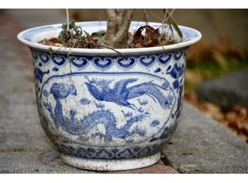 Lovely Blue Asian Dragon Planter 17 X 15