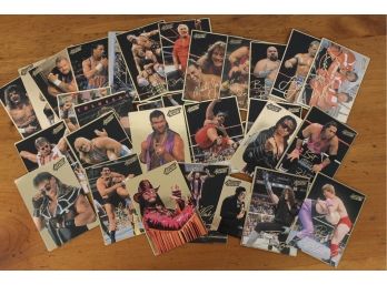 Collection Of WWF Action Packed 1994 Trading Cards