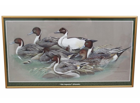 'The Imposter Pintails' By Art LaMay Signed & Numbered Print 23 X 13