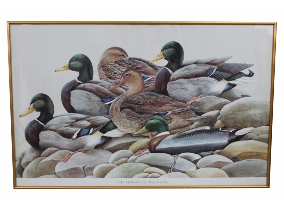 'The Imposter Mallards' By Art LaMay Signed & Numbered Print
