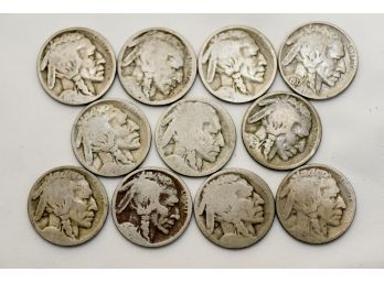 Buffalo Head Nickels Coin Lot 10