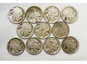 Buffalo Head Nickels Coin Lot 8