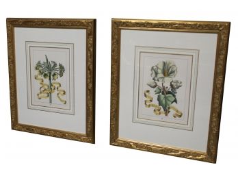 Pair Of Framed Flower Prints 20' X 24'