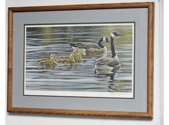 Robert Bateman 1985 Signed And Numbered Lithograph Framed 26 X 18
