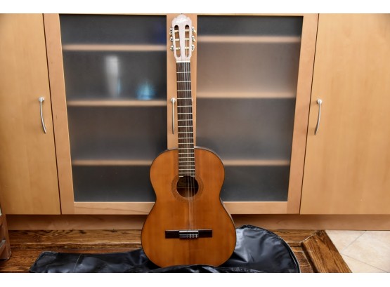 Aria Acoustic Guitar With Gig Bag