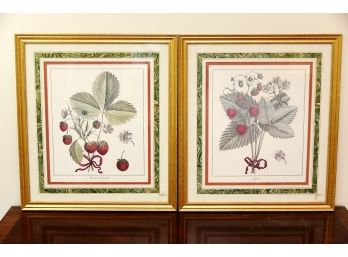 Pair Strawberry Botanical Prints Framed 21 X 23