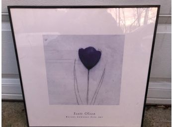 Scott Olson Flower Photograph In Frame
